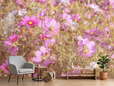 photo-wallpaper-the-jewelry-basket-cosmea