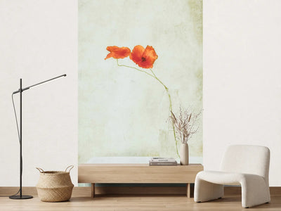 photo-wallpaper-two-poppies-in-a-bottle-x