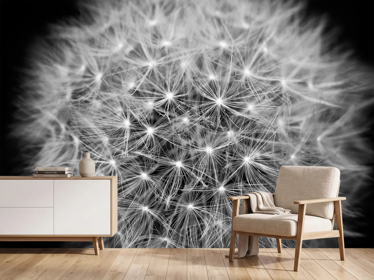 photo-wallpaper-dandelion-in-xxl
