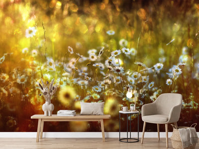 photo-wallpaper-wonderland