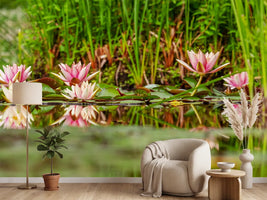 photo-wallpaper-wild-water-lilies