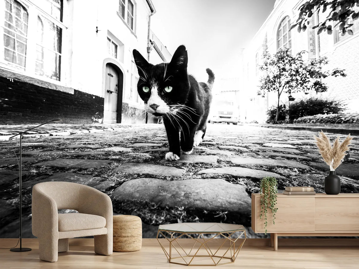 photo-wallpaper-focus-x