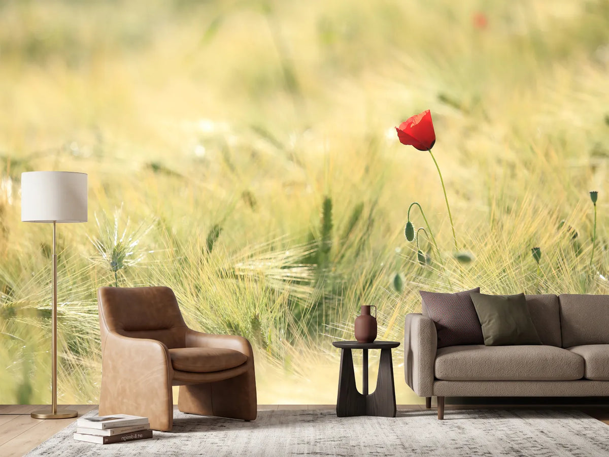 photo-wallpaper-a-poppy
