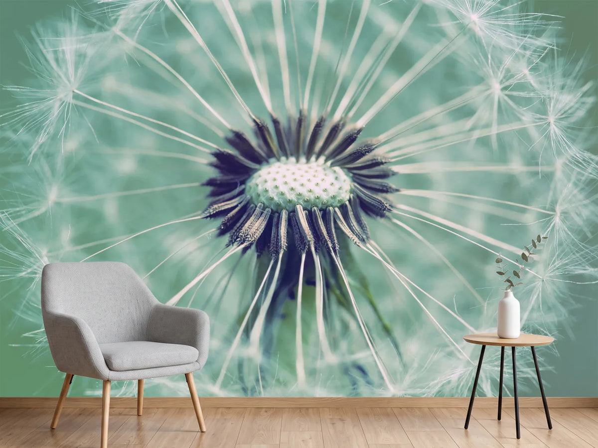 photo-wallpaper-close-up-dandelion