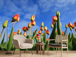photo-wallpaper-tulips-tower-to-the-sky