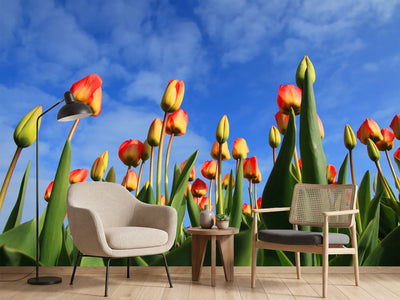 photo-wallpaper-tulips-tower-to-the-sky