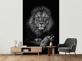 photo-wallpaper-king-lion