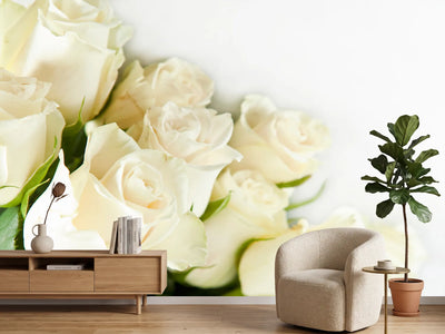 photo-wallpaper-white-roses