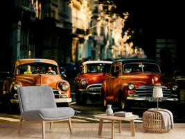 photo-wallpaper-come-with-me-in-the-morning-light