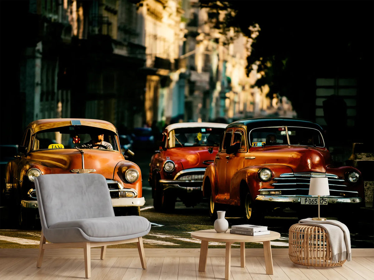 photo-wallpaper-come-with-me-in-the-morning-light