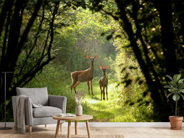 photo-wallpaper-wild-and-free-in-the-forest