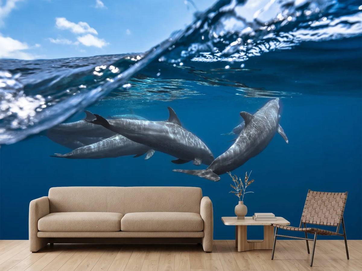 photo-wallpaper-dolphins