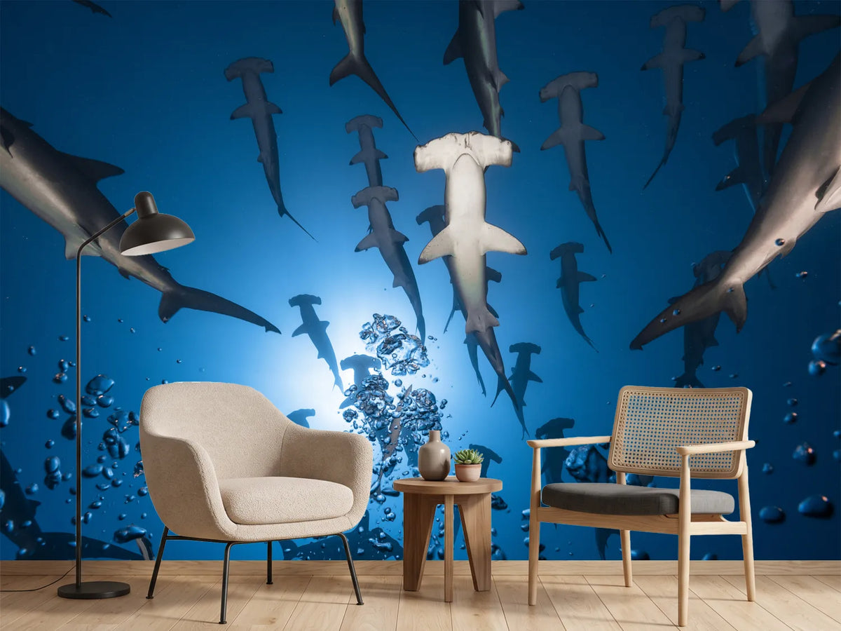 photo-wallpaper-hammerhead-shark