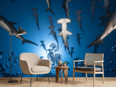 photo-wallpaper-hammerhead-shark