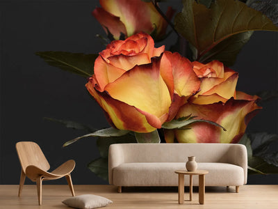 photo-wallpaper-roses-of-the-romance