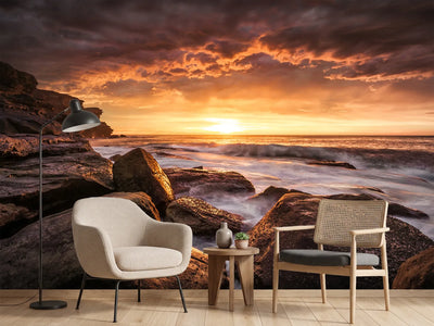 photo-wallpaper-cape-solander