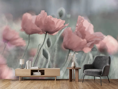 photo-wallpaper-softly-x