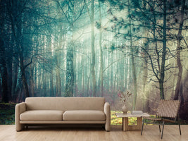photo-wallpaper-pinewood