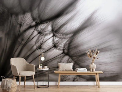 photo-wallpaper-dandelion-p