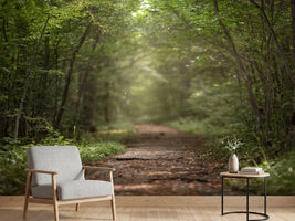 photo-wallpaper-beautiful-green-summer-forest-spring-background-backdrop