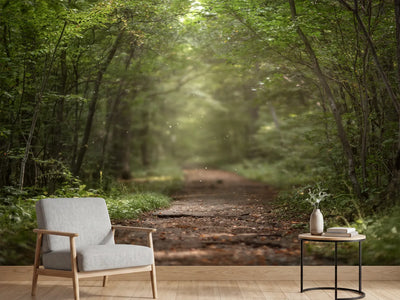 photo-wallpaper-beautiful-green-summer-forest-spring-background-backdrop