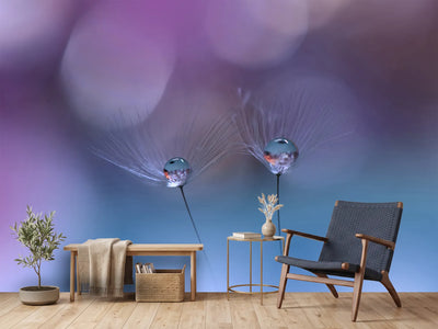 photo-wallpaper-reflection-xlt