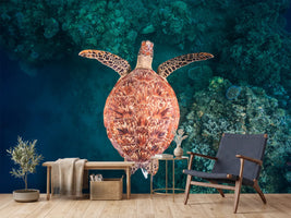 photo-wallpaper-graceful-sea-turtle-swim