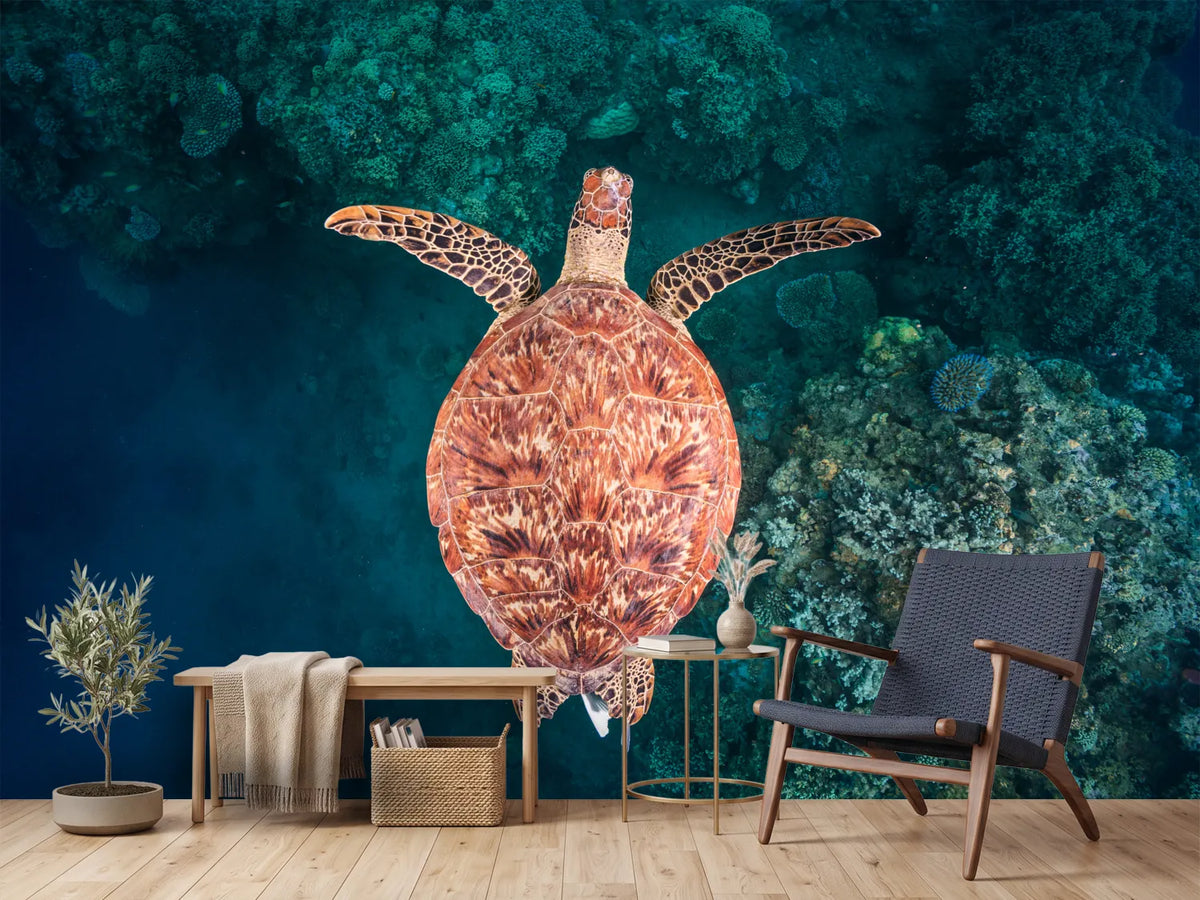 photo-wallpaper-graceful-sea-turtle-swim
