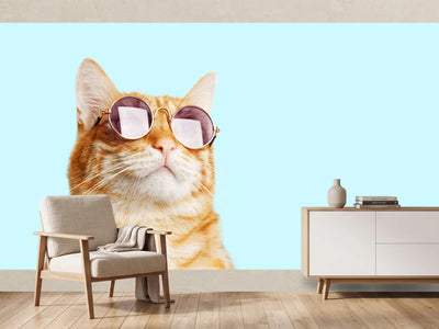 photo-wallpaper-ginger-cat-in-round-sunglasses-against-pale-turquoise