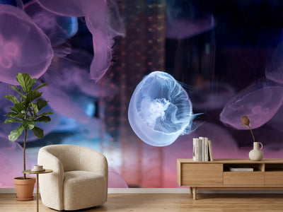 photo-wallpaper-the-beauty-of-jellyfish