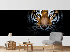 photo-wallpaper-tiger-with-a-black-background