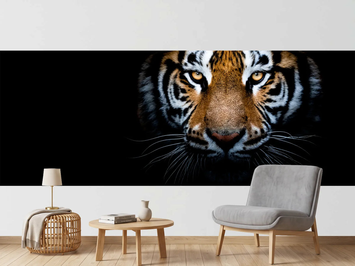 photo-wallpaper-tiger-with-a-black-background