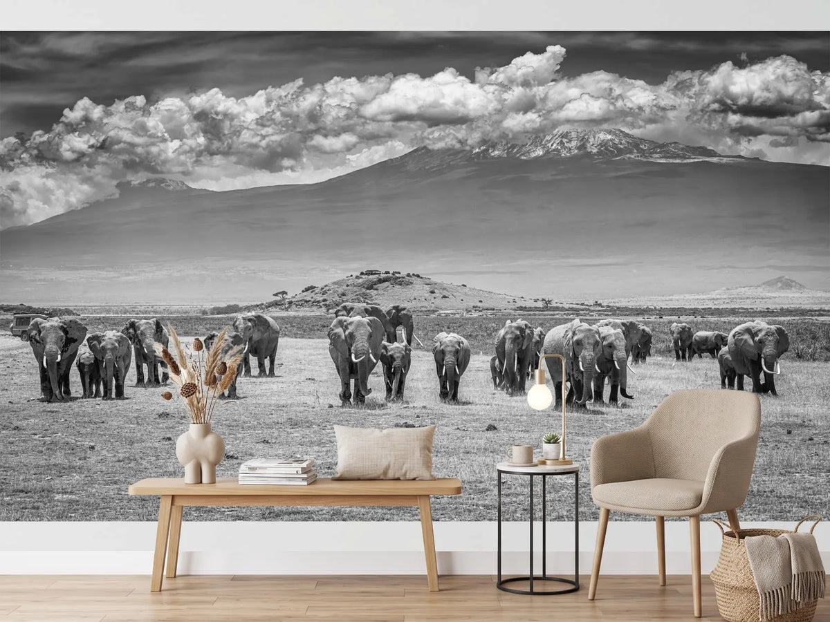 photo-wallpaper-kilimanjaro-elephant-herd