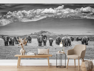 photo-wallpaper-kilimanjaro-elephant-herd