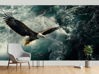 photo-wallpaper-eagle-sea-attack-haliaeetus-albicilla