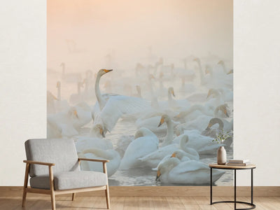photo-wallpaper-song-of-the-morning-light