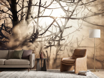 photo-wallpaper-branches-in-fog-light