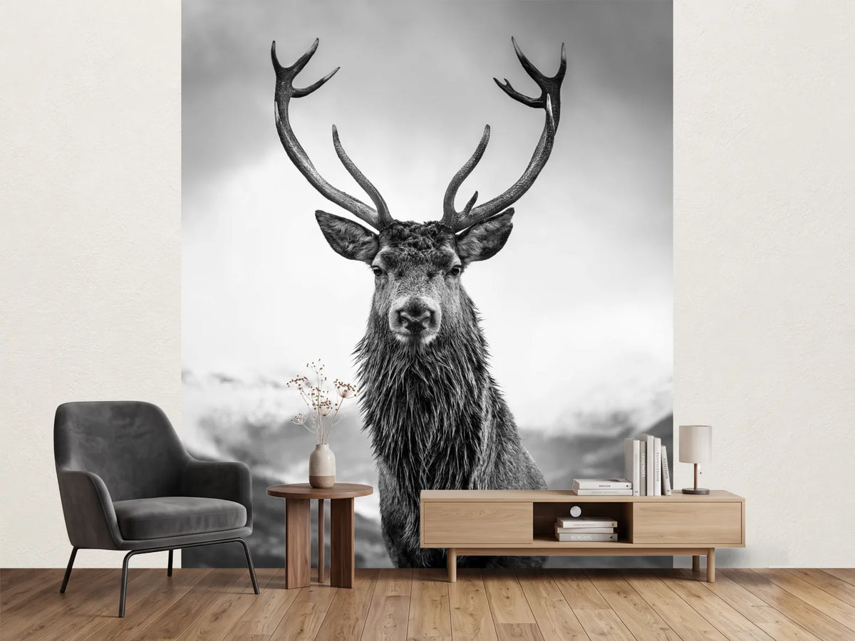 photo-wallpaper-monarch-of-the-glen