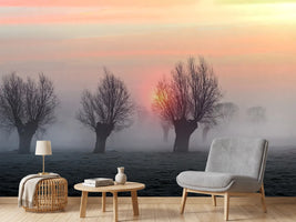 photo-wallpaper-the-shadow-of-time