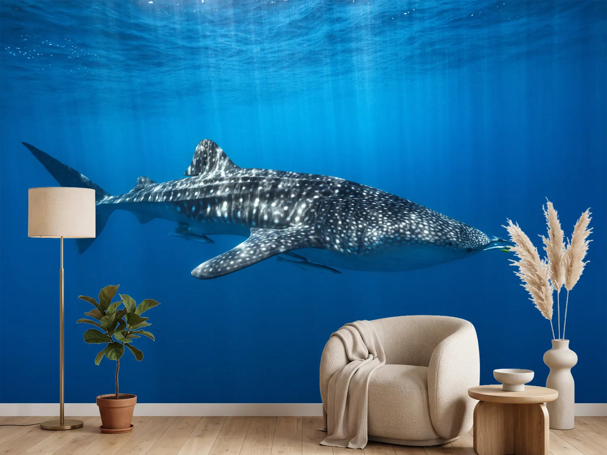 photo-wallpaper-whale-shark-in-the-blue-x
