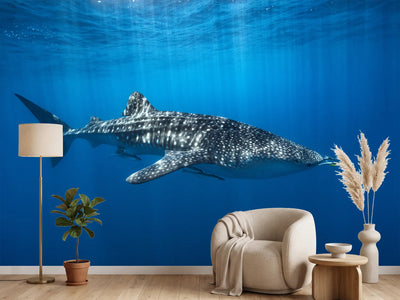 photo-wallpaper-whale-shark-in-the-blue-x