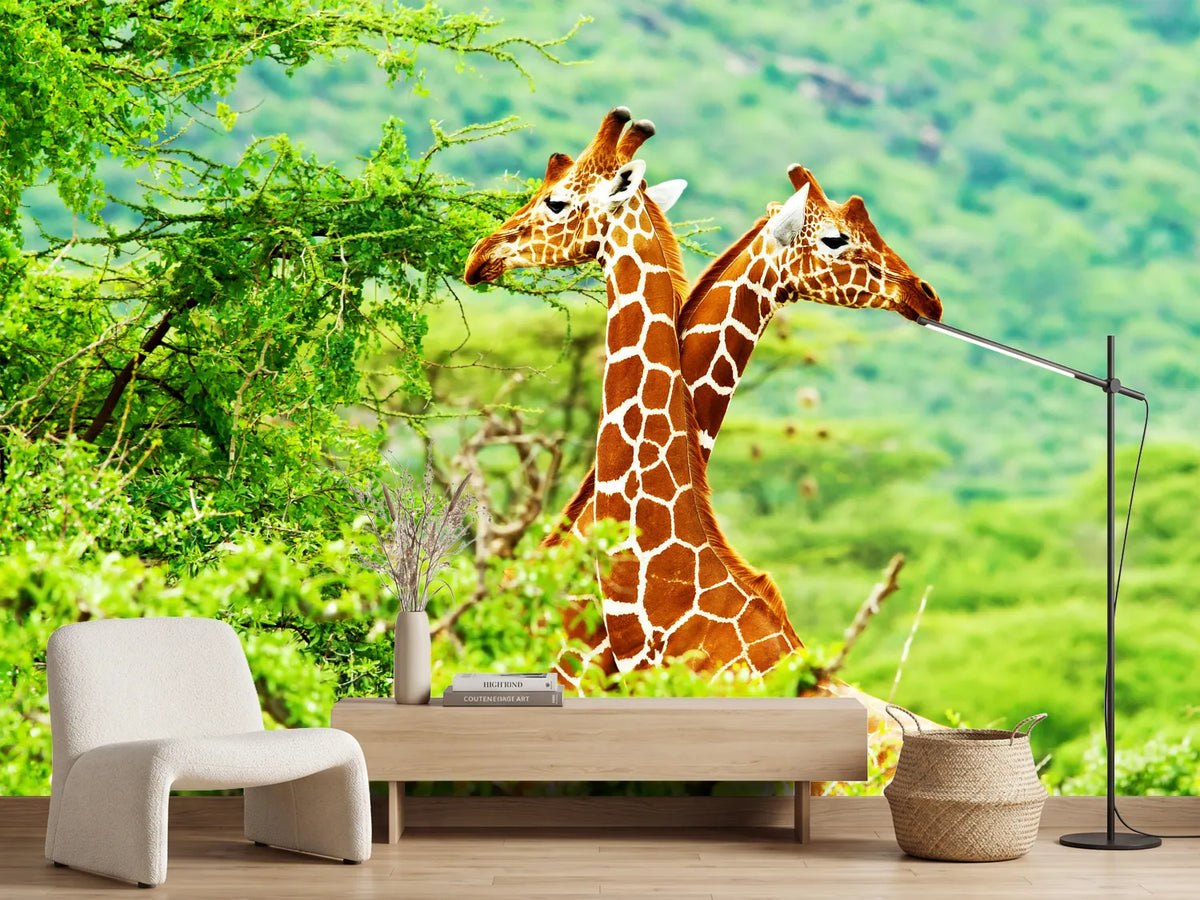 photo-wallpaper-giraffes-love