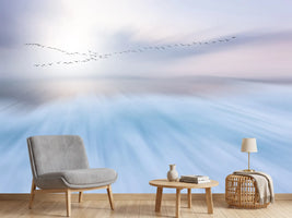 photo-wallpaper-fly-over-x