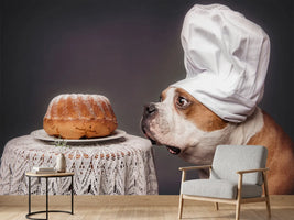 photo-wallpaper-the-confectioner-and-his-masterpiece-x