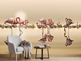 photo-wallpaper-flamingos-x