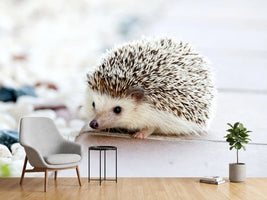 photo-wallpaper-the-hedgehog-baby