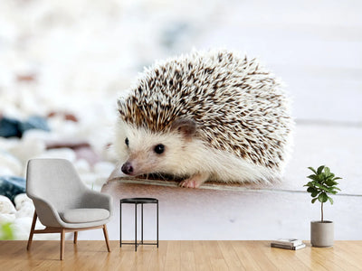 photo-wallpaper-the-hedgehog-baby