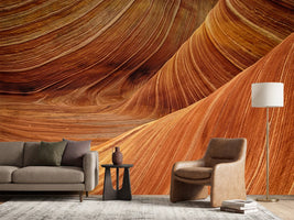 photo-wallpaper-the-movement