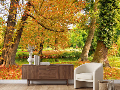 photo-wallpaper-in-the-middle-of-autumn-trees