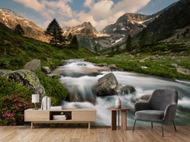 photo-wallpaper-maritime-alps-park-x